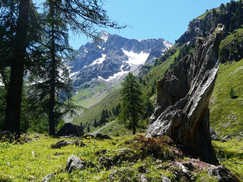 Pension Schoepf Арцль-ім-Пітцталь Екстер'єр фото