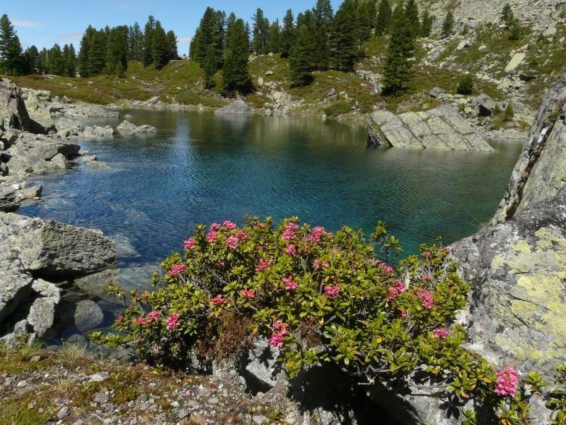 Pension Schoepf Арцль-ім-Пітцталь Екстер'єр фото